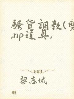 骚货调教(双性,np道具,