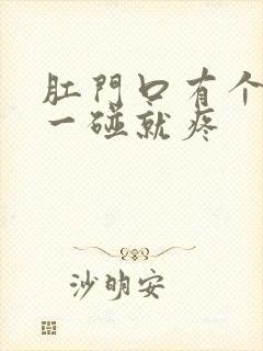 肛门口有个疙瘩一碰就疼