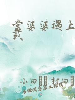 当婆婆遇上妈下载