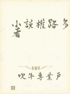 小说权路多娇作者