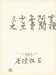 《少年阿宾》全文免费阅读