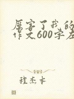 厉害了我的母亲作文600字左右