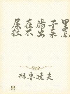 屎在肠子里堵住拉不出来怎么办