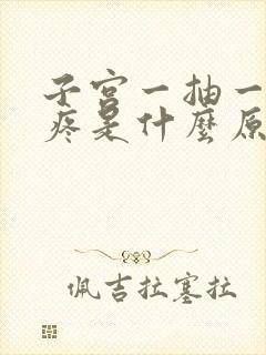 子宫一抽一抽的疼是什么原因