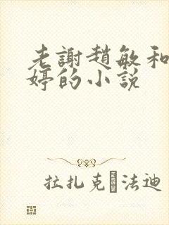 老谢赵敏和柳婷婷的小说