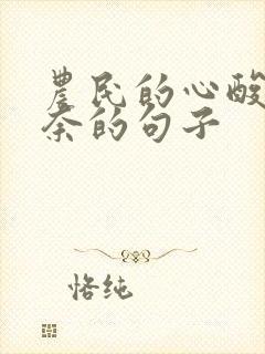 农民的心酸和无奈的句子