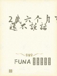 2岁六个月宝宝还不说话