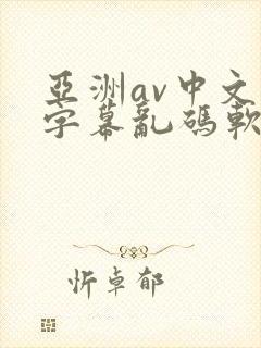 亚洲av中文字字幕乱码软件