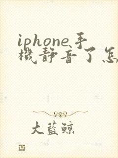 iphone手机静音了怎么调回来
