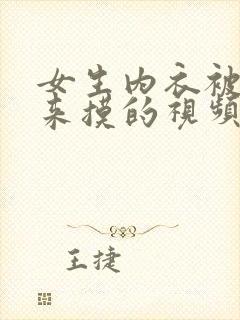 女生内衣被掀起来摸的视频