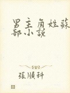 男主角姓苏的全部小说