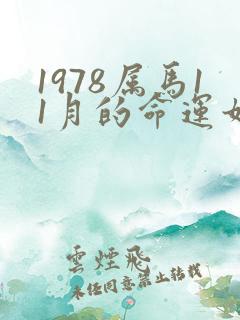 1978属马11月的命运如何