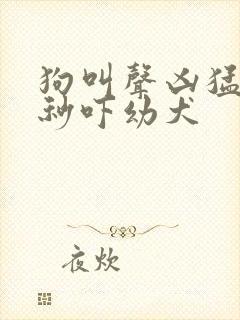 狗叫声凶猛60秒吓幼犬
