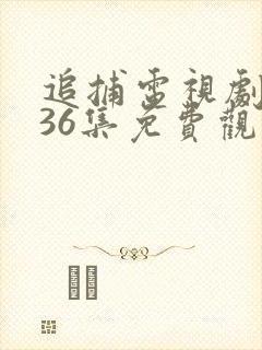 追捕电视剧全集36集免费观看