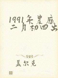 1991年农历二月初四出生男命