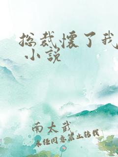 总裁怀了我的崽 小说