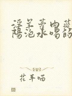 淫羊藿肉苁蓉锁阳泡水喝的功效