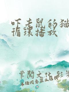 吓老鼠的猫叫声循环播放