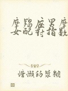 摩羯座男摩羯座女配对指数