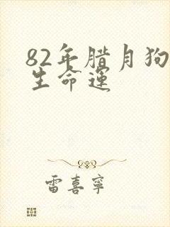 82年腊月狗一生命运