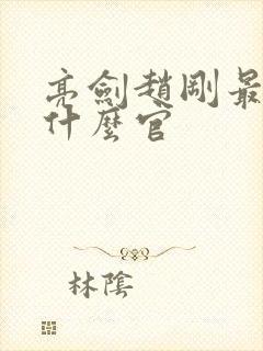 亮剑赵刚最后是什么官