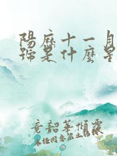 阳历十一月23号是什么星座