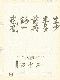 我的前半生电视剧一共多少集