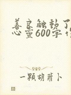 善良触动了我的心灵600字作文