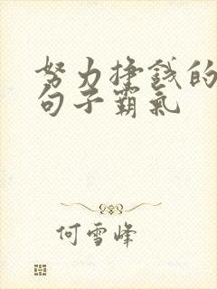 努力挣钱的幽默句子霸气