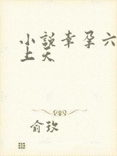 小说幸孕六宝宠上天