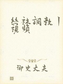 丝袜调教丨vk视频