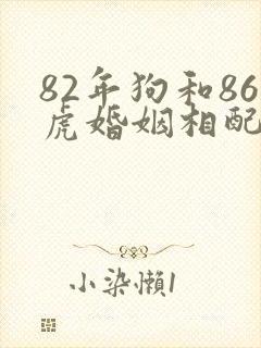 82年狗和86虎婚姻相配吗
