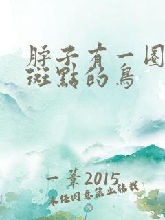 脖子有一圈白色斑点的鸟