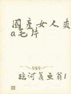 国产女人爽高潮a毛片