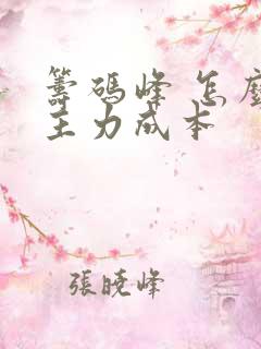 筹码峰 怎么看主力成本