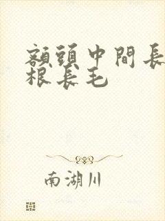 额头中间长了一根长毛