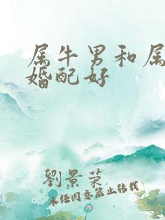 属牛男和属龙女婚配好