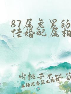 87属兔男的最佳婚配属相