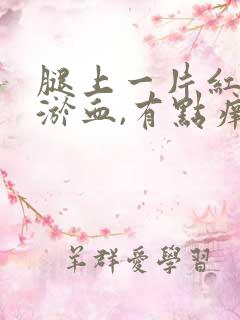 腿上一片红斑像淤血,有点痒