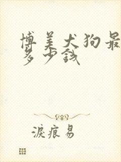 博美犬狗最便宜多少钱