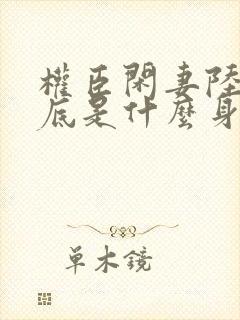 权臣闲妻陆离到底是什么身份