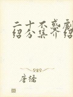 二十不惑剧情介绍分集介绍