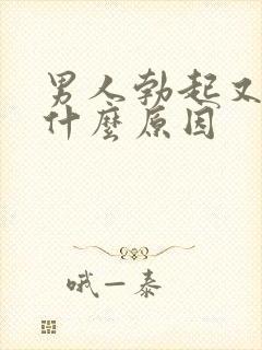 男人勃起又软下什么原因