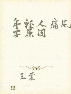 年轻人痛风的主要原因