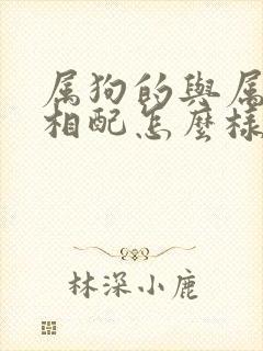 属狗的与属鸡的相配怎么样