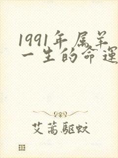 1991年属羊一生的命运怎么样