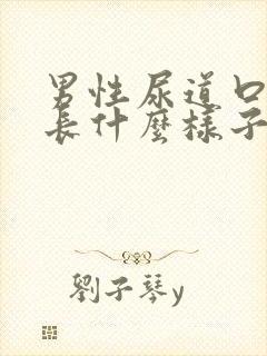 男性尿道口息肉长什么样子