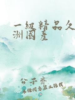 一级精品久久亚洲国产