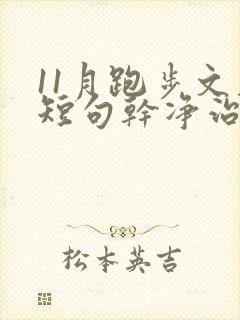 11月跑步文案短句干净治愈