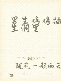 男生鸡鸡插进女生洞里